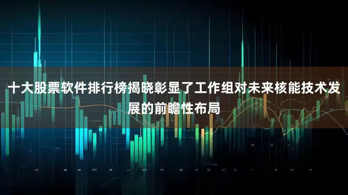 十大股票软件排行榜揭晓彰显了工作组对未来核能技术发展的前瞻性布局