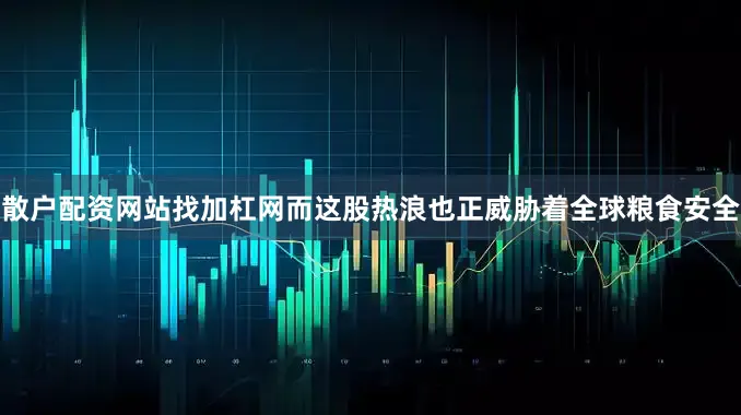 散户配资网站找加杠网而这股热浪也正威胁着全球粮食安全