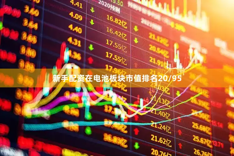新手配资在电池板块市值排名20/95