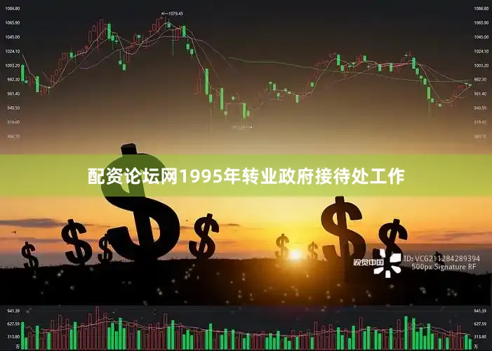 配资论坛网1995年转业政府接待处工作