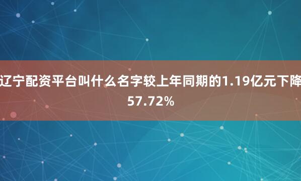辽宁配资平台叫什么名字较上年同期的1.19亿元下降57.72%