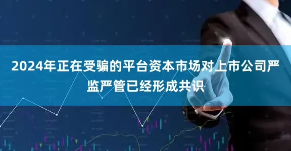 2024年正在受骗的平台资本市场对上市公司严监严管已经形成共识