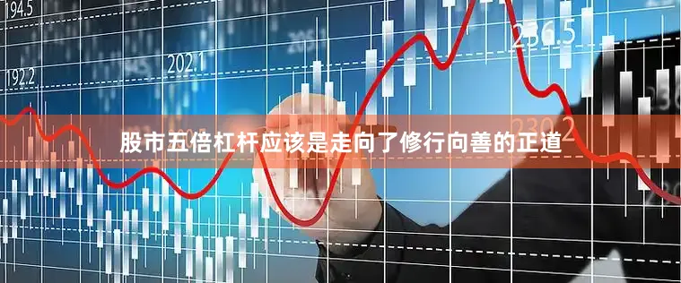 股市五倍杠杆应该是走向了修行向善的正道